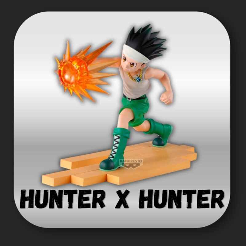 HUNTER X HUNTER