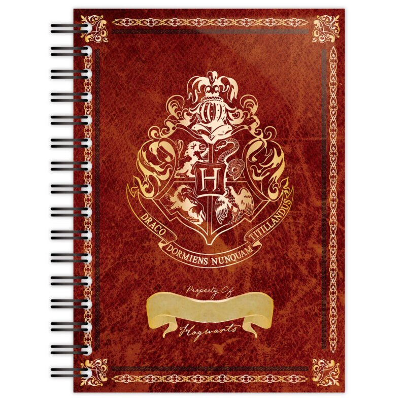 img_250688_62be3e699053f77c83f0abf8f6a8c669_1.jpg ESENCIALES ESCRITORIO, HARRY POTTER CCWEAR