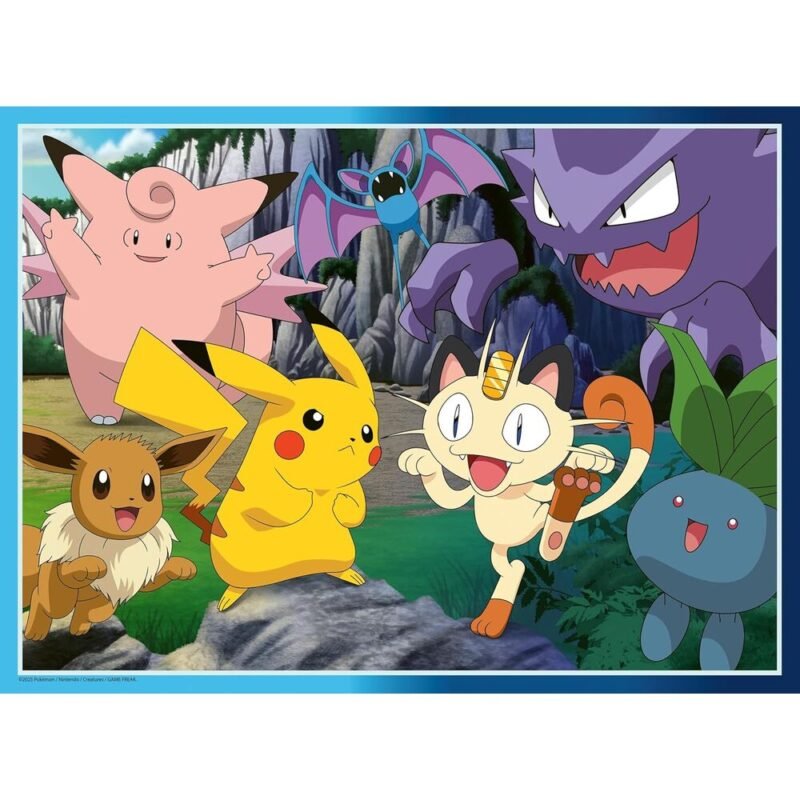 img_405757_3004a62169d4f37b9051f79c3a604f98_1.jpg POKEMON CCWEAR