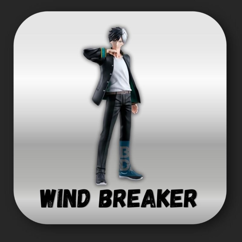 WIND BREAKER