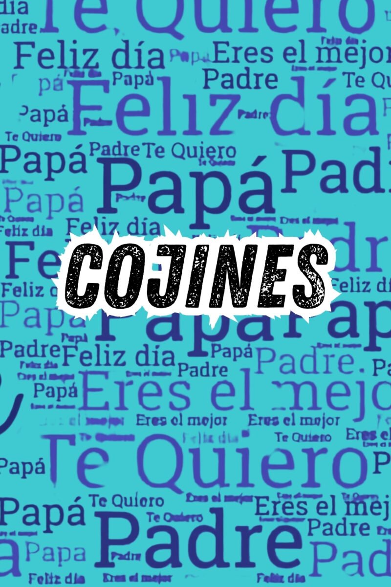 Cojines Día Del Padre