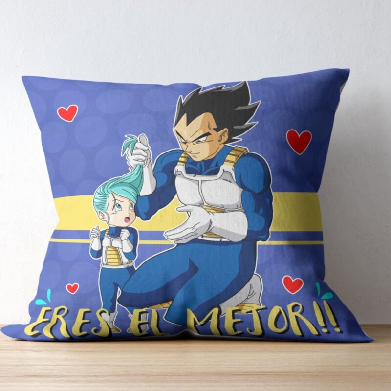 COJÍN ESPECIAL DÍA DEL PADRE