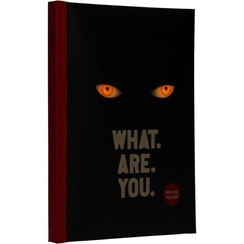 Cuaderno con luz + Llavero metalico Bienvenidos a Derry IT